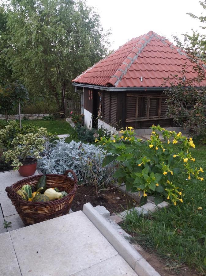 Apartman Civovic Рудник Экстерьер фото